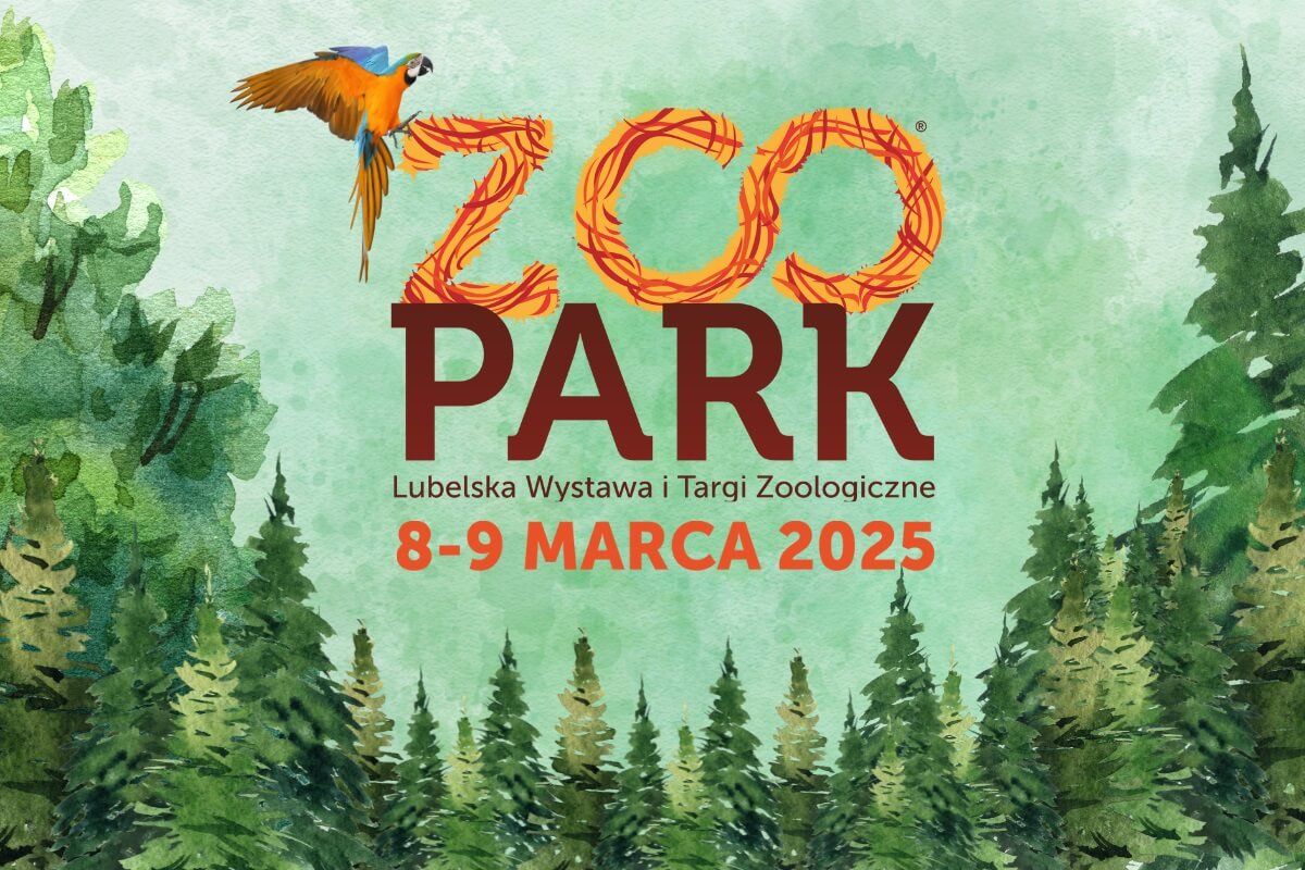 grafika zoo park 2025