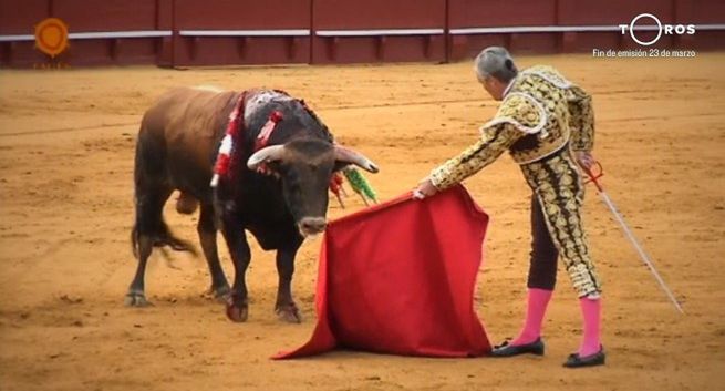 Kanał poświęcony walkom byków kończy nadawanie przez nowy serwis streamingowy