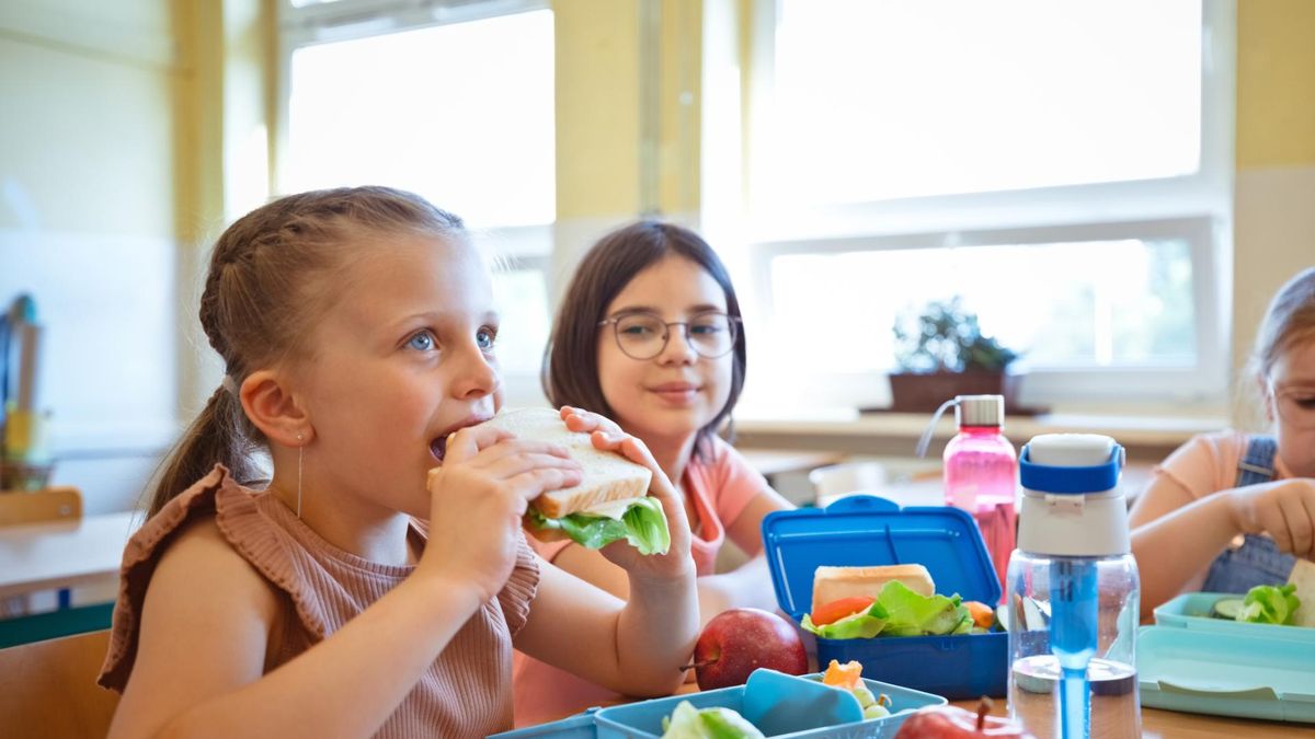 Edukacja zdrowotna w szkołach to "porażka, którą trudno opisać słowami". Lekarze alarmują