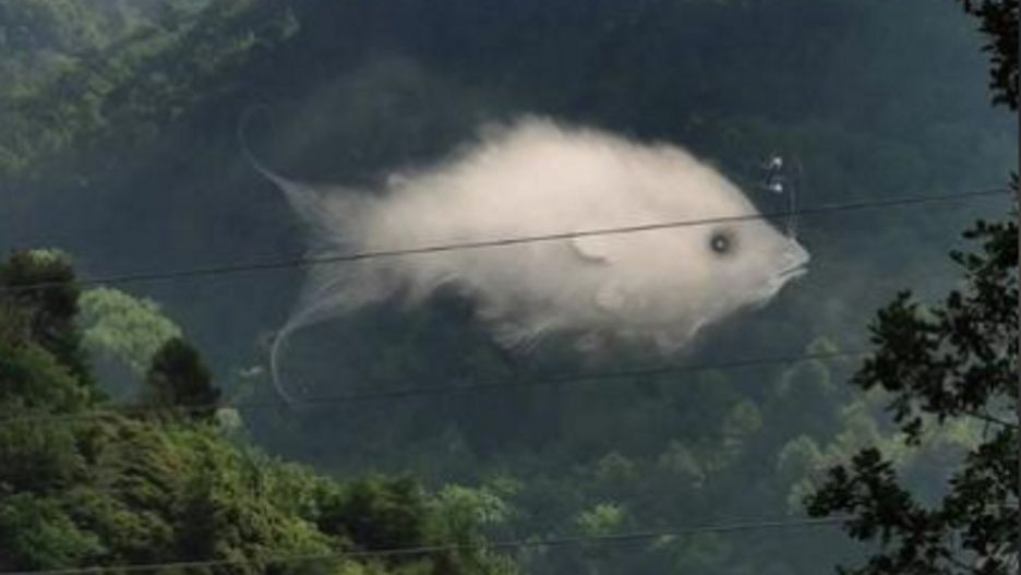 Co zobaczyłeś jako pierwsze? Ten szybki test osobowości wiele o tobie powie