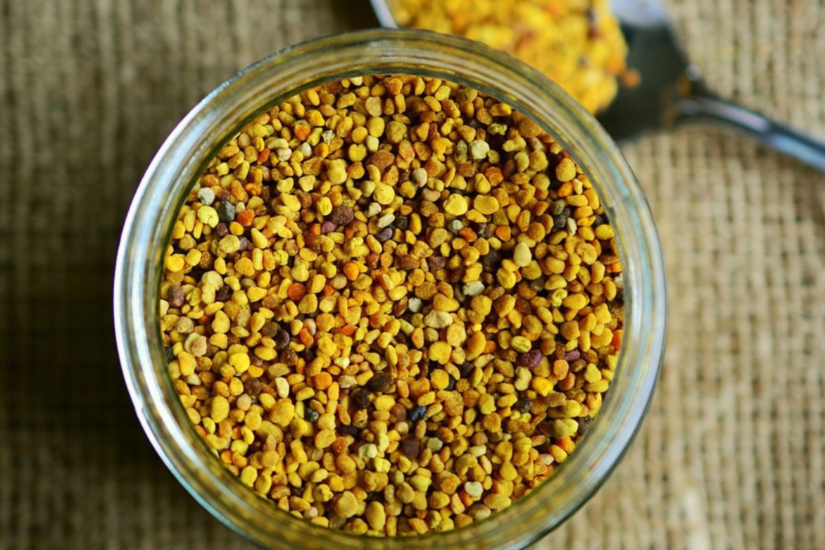 Pyłek pszczeli wspiera odporność i wspomaga trawienie