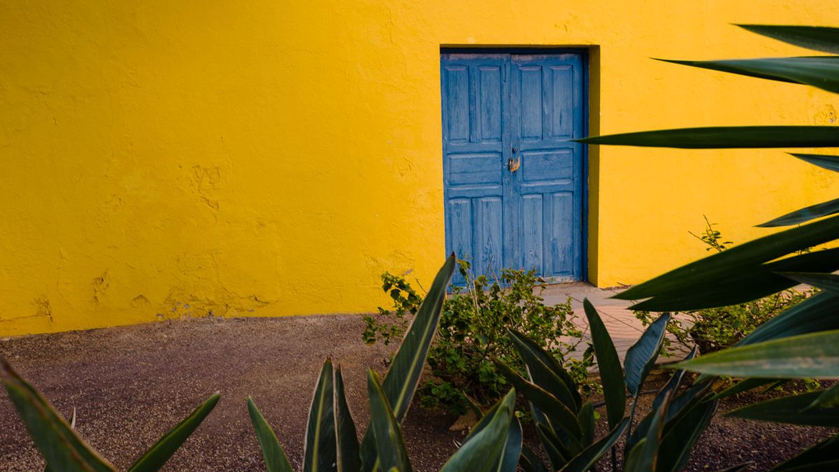 Czy "repost" zdjęcia na Instagramie jest kradzieżą? 1