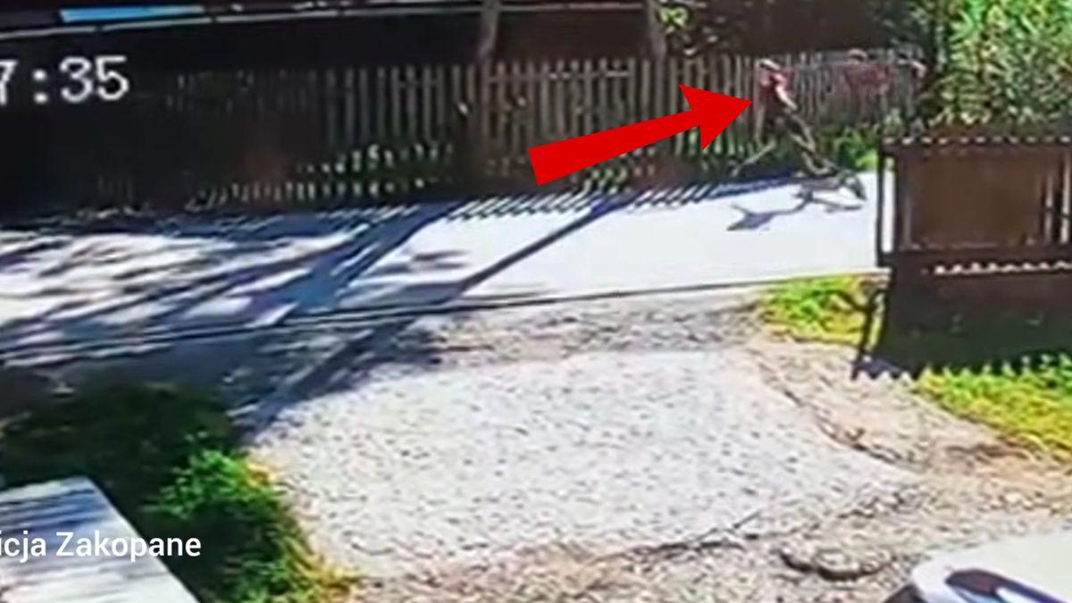 Dramatyczne zdarzenie z udziałem 11-latka.