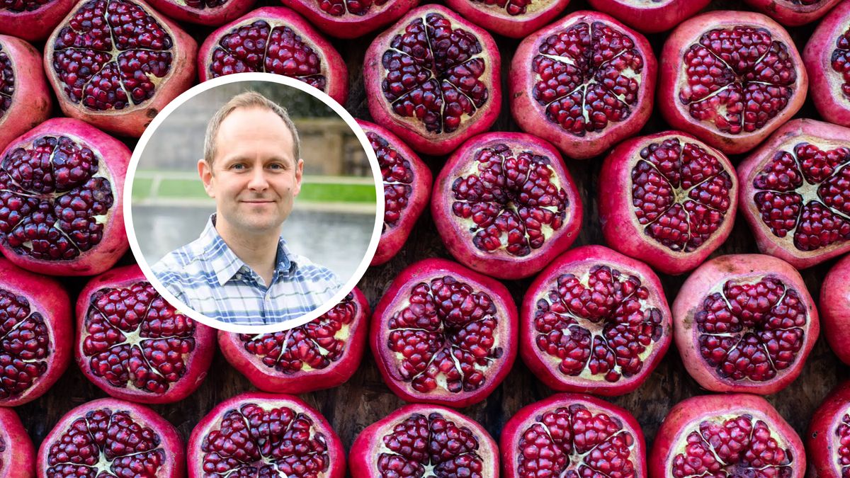 Granaty chronią przed nowotworami i wzmacniają serce