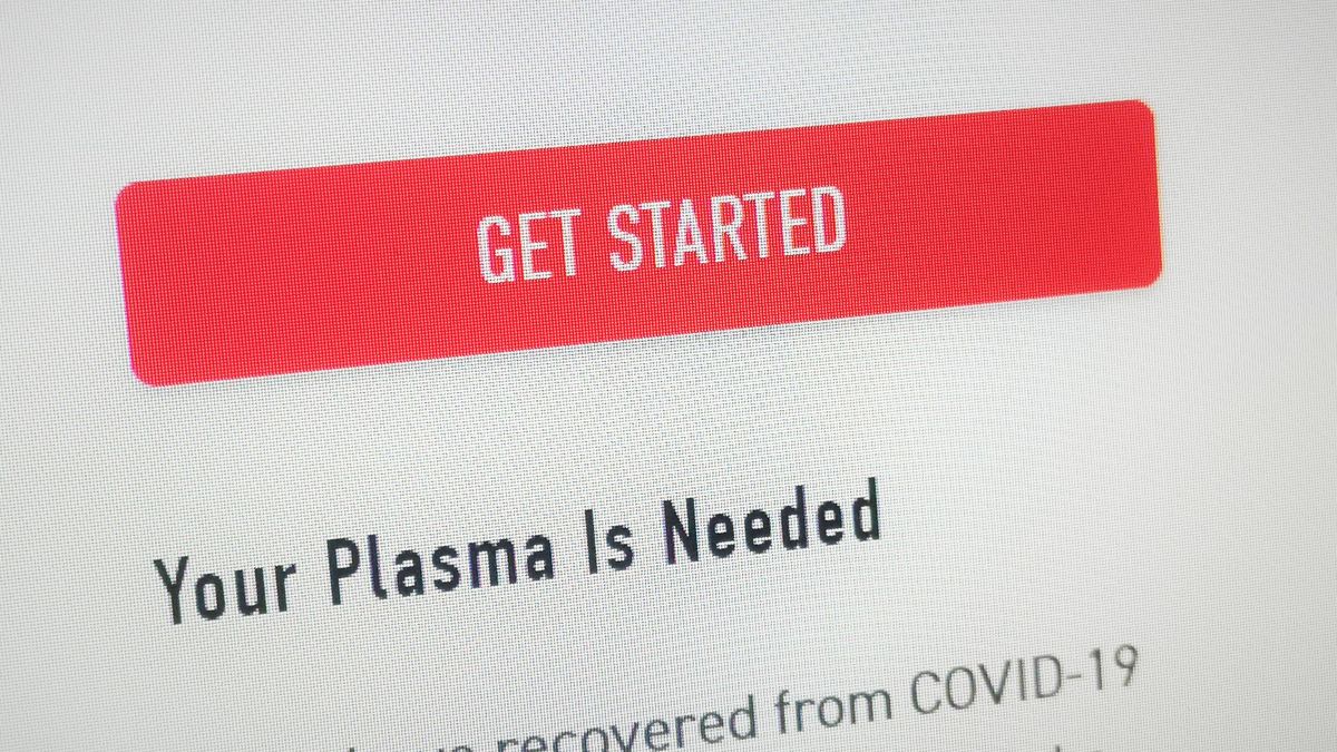 Internetowy bot podpowie, czy możesz być dawcą osocza, fot. Oskar Ziomek