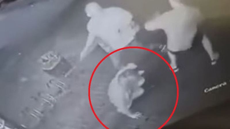 Sądowy finał brutalnego pobicia ekspedientki