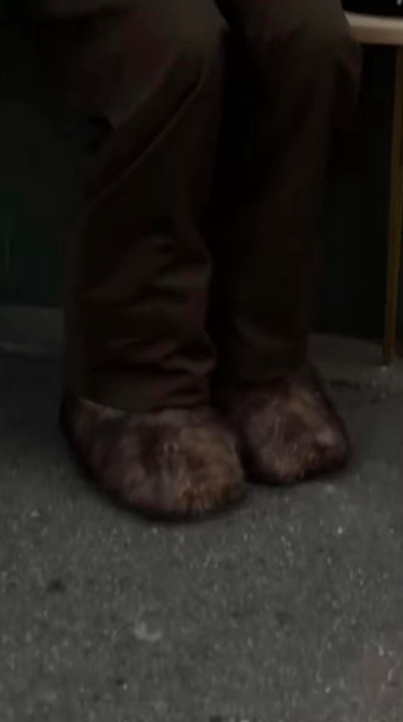 Buty Jessiki Mercedes przypominają jej psa
