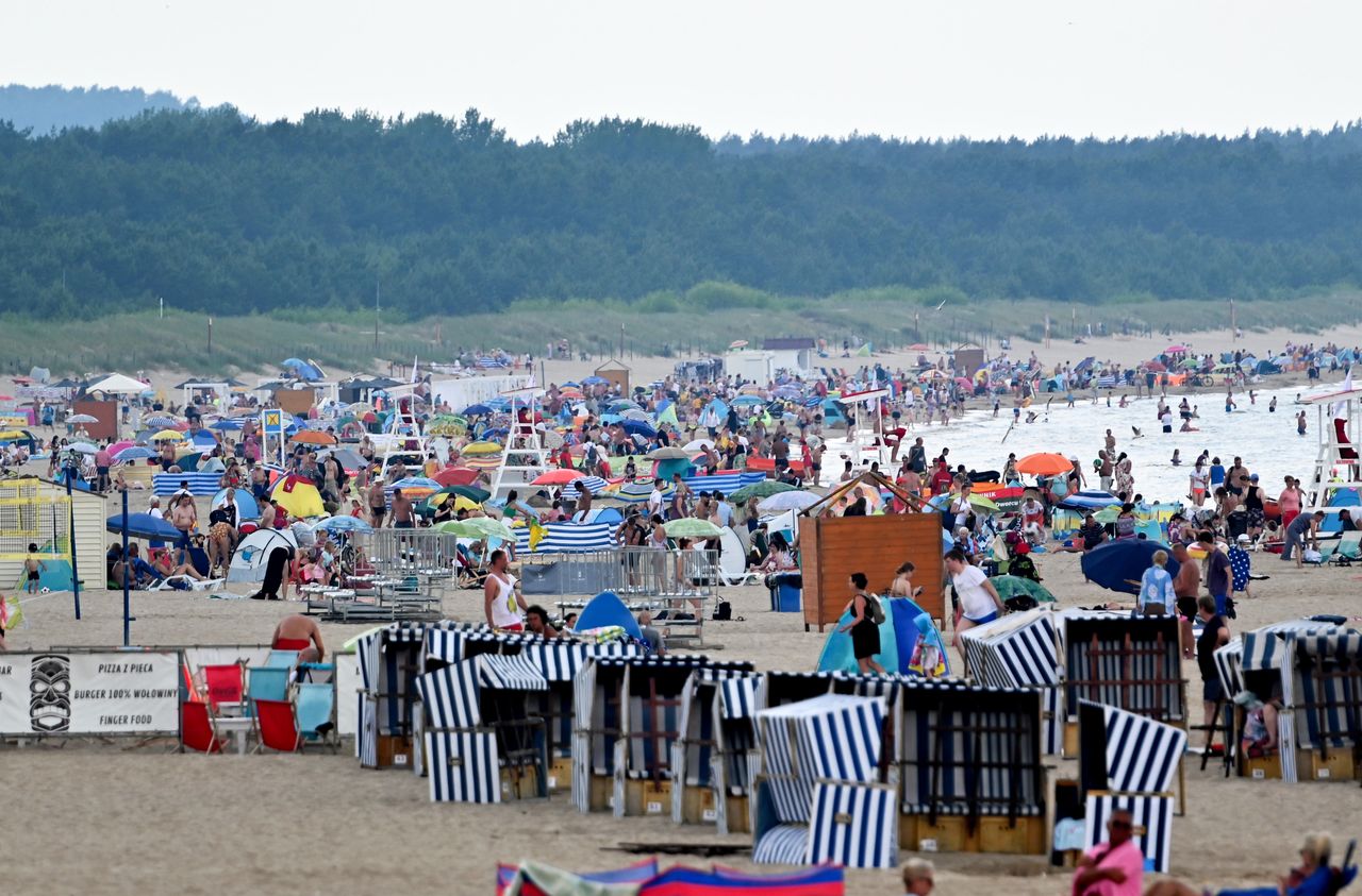 Gdzie można się kąpać w Bałtyku? Sprawdź, czy są sinice