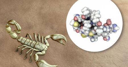 Glejak - objawy, przyczyny, diagnostyka, rokowania i leczenie