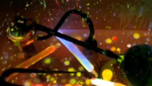 Jak wyglądają 32 "świetliki" spuszczone w toalecie? [wideo] 1