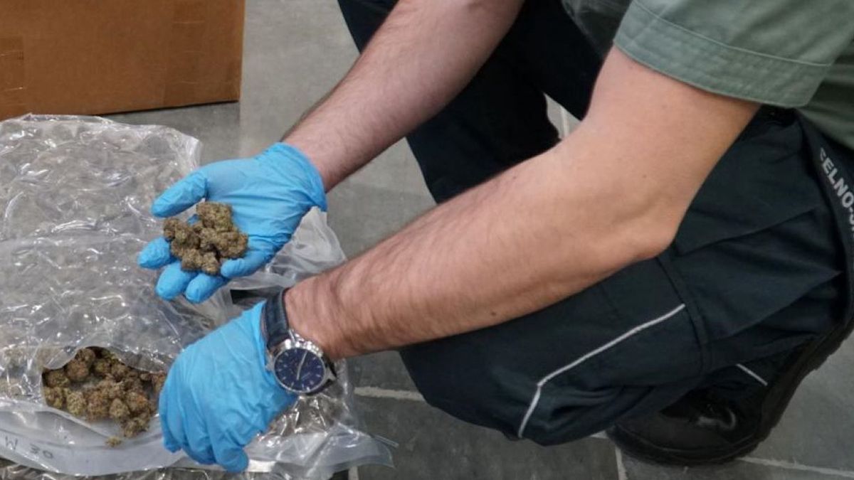 KAS w 2025 r. zatrzymała ponad 3 tony nielegalnych substancji 