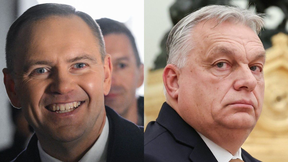 Prezydent Karol Nawrocki nie spotka się z Vi