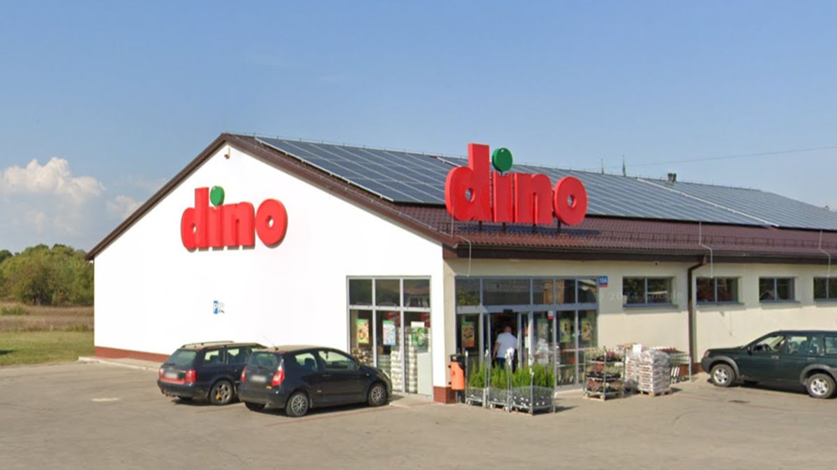 Co w promocji w Dino kupimy 11 lipca? 