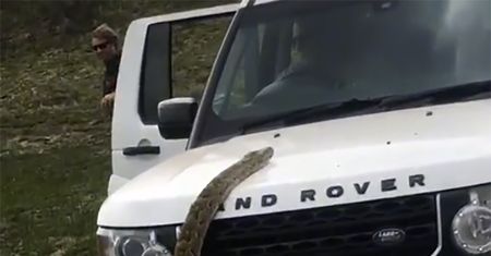 20 mln wyświetleń w tydzień. Nagranie z safari przeraziło internautów