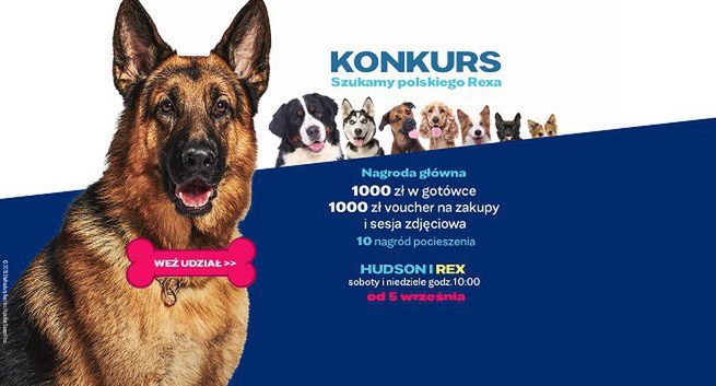 Konkurs „Szukamy polskiego Rexa” promuje nowy serial Stopklatki „Hudson i Rex”
