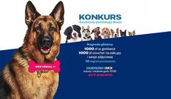 Konkurs „Szukamy polskiego Rexa” promuje nowy serial Stopklatki „Hudson i Rex”