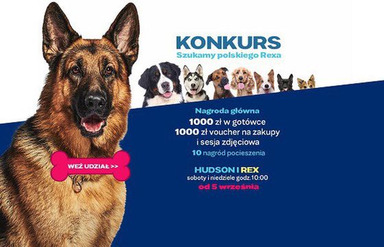 Konkurs „Szukamy polskiego Rexa” promuje nowy serial Stopklatki „Hudson i Rex”
