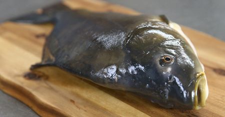 Koniec z żywym karpiem. Kaufland rezygnuje ze sprzedaży