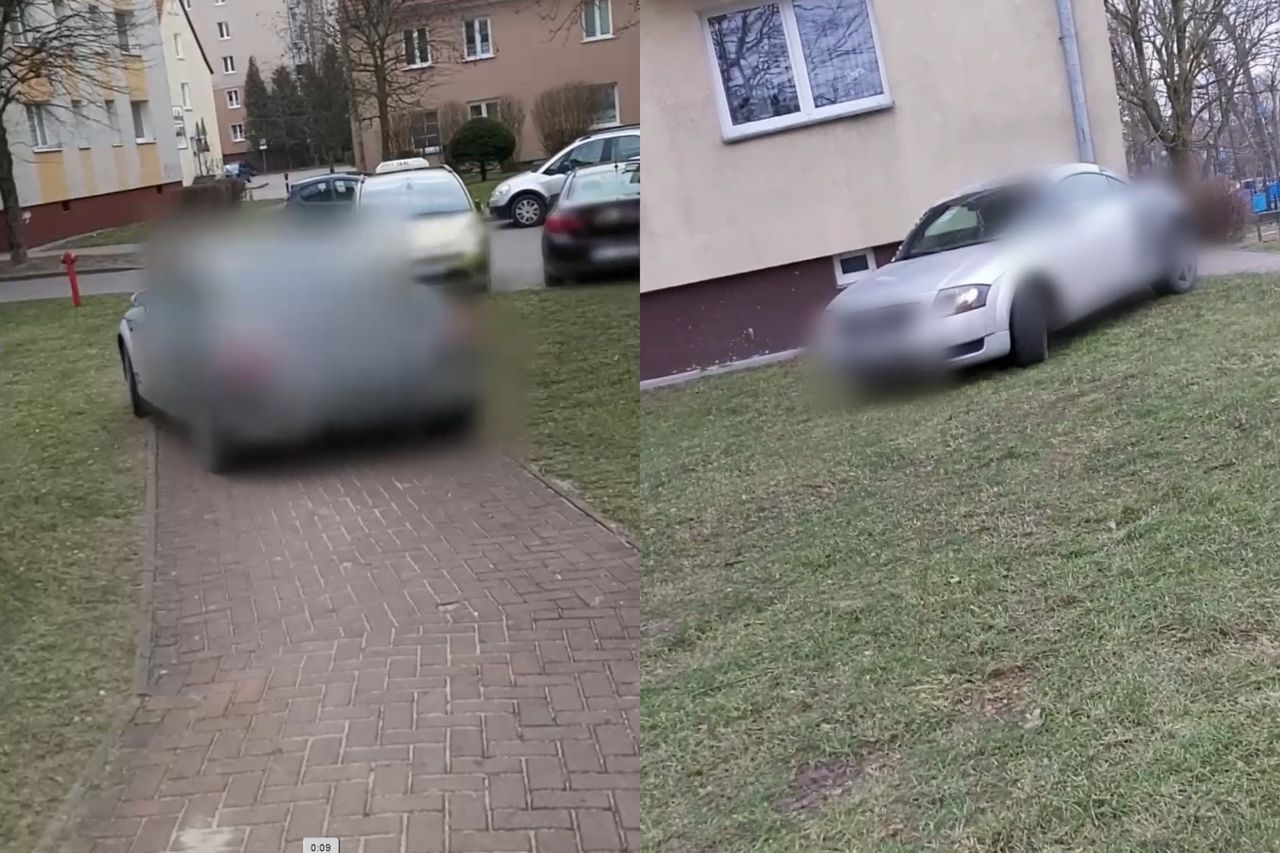 Kierowca audi jeździł po trawie i chodniku. Surowa kara