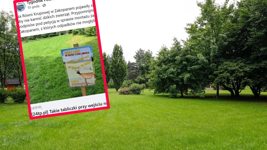 Ciekawe tablice informacyjne pojawiły się w Zakopanem 