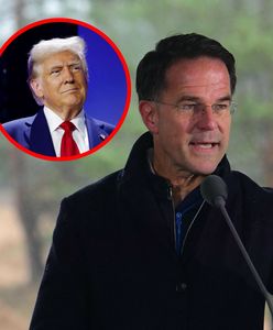 "Straszne zagrożenie". Szef NATO ostrzegł Trumpa ws. Ukrainy [RELACJA NA ŻYWO]