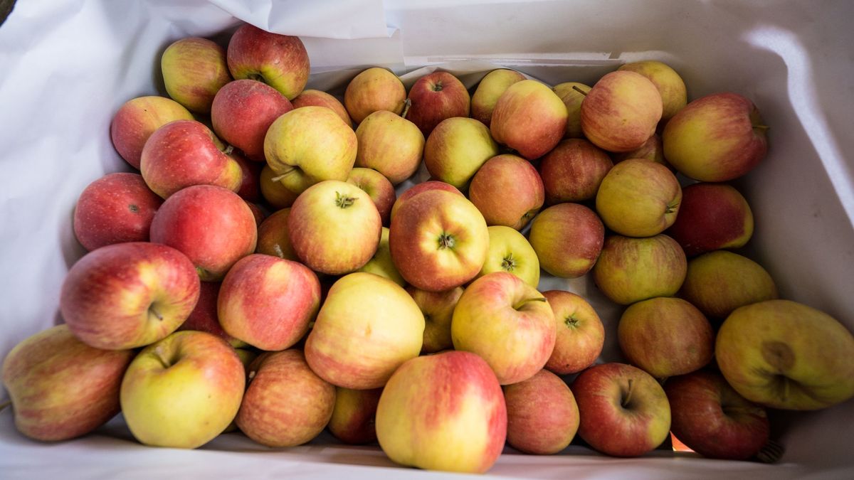bazar owoce jabłka