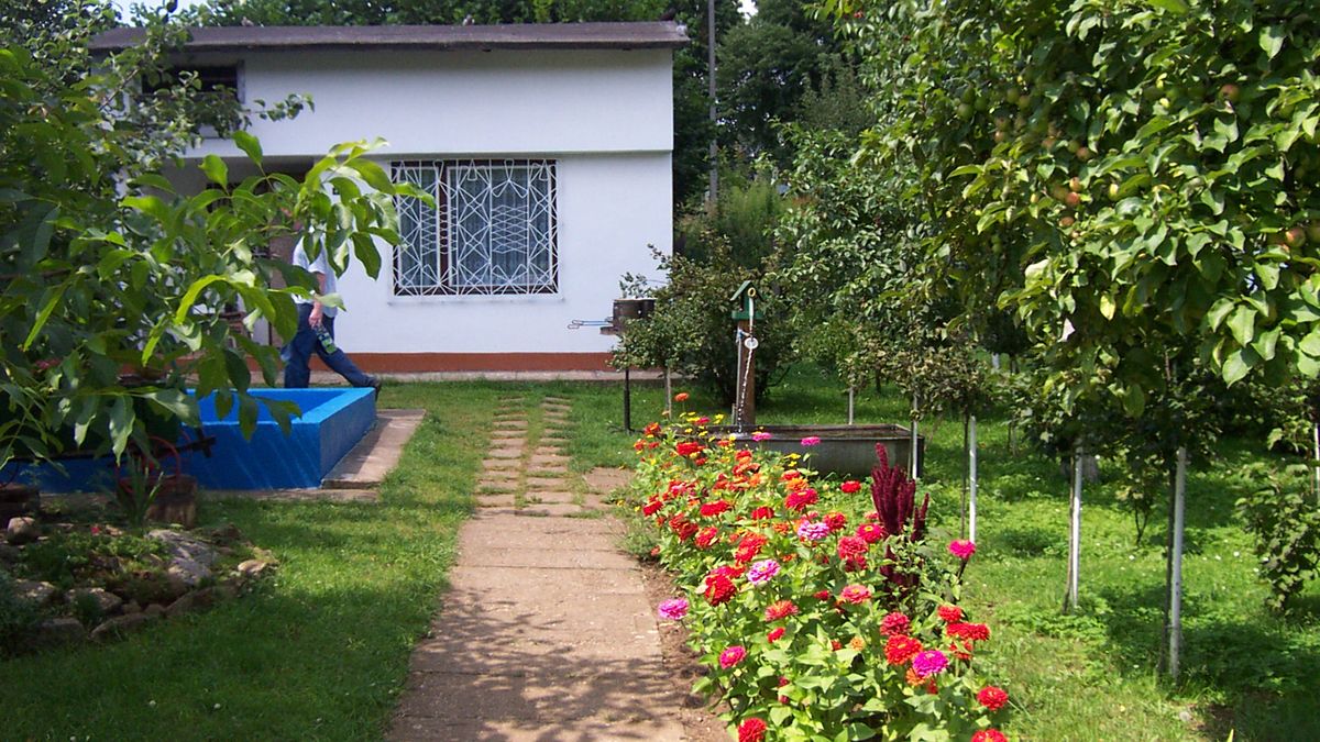 Działka; ogród działkowy; domek