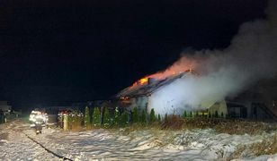 Znaleźli zwłoki. Tragedia nad Bałtykiem