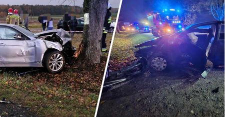 Zginął kierowca. Jedno auto uderzyło w drzewo, drugie w przystanek