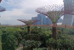 Singapur jak ze snów. Tutaj dzieje się magia, której nigdy się nie zapomina