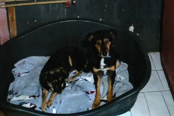 Z Sobolewa do gorszego miejsca. Zawiadamiają prokuraturę ws. "azylu"