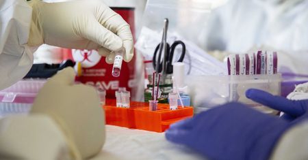 Koronawirus. Nowy model prognozy pandemii w Polsce. Poprzedni nie był optymistyczny