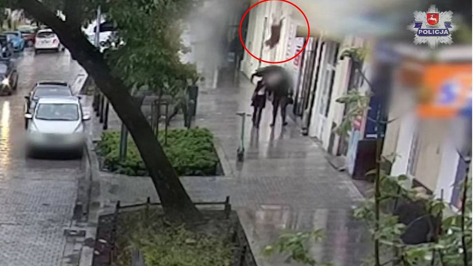 Pies wyskoczył z drugiego piętra