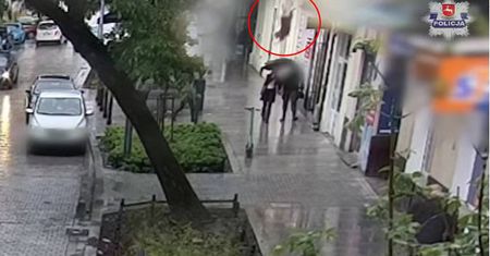 Zwierzę wyskoczyło z okna. Jest nagranie, jedna osoba w szpitalu