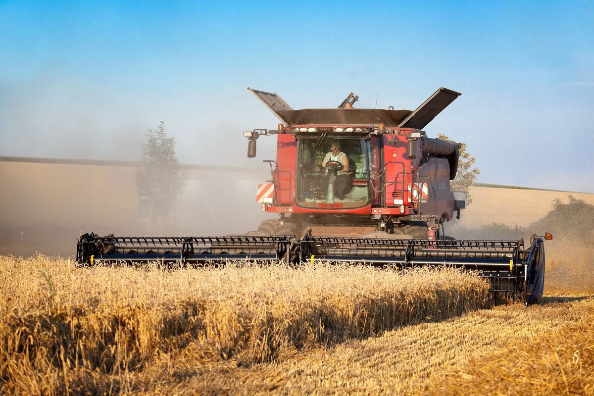 Francja i Niemcy sprzeciwiają się przedłużeniu zakazu eksportu ukraińskiej pszenicy