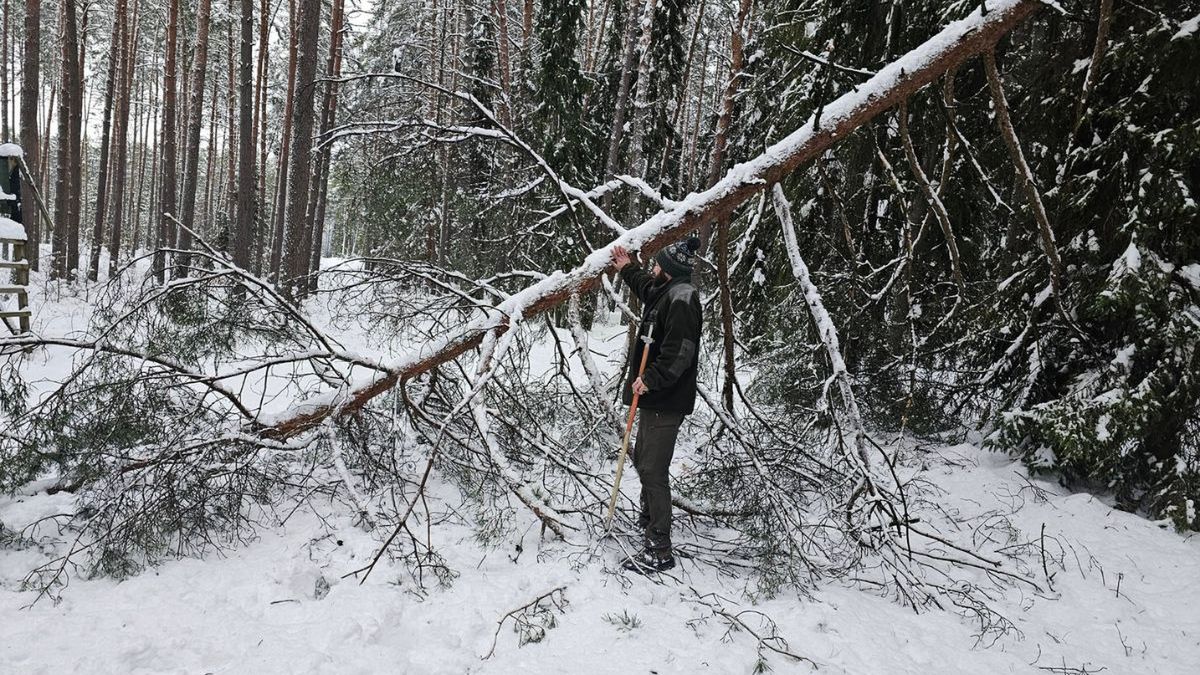 Zakaz wstępu do lasów w Nidzicy