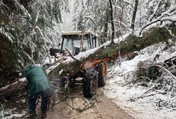 Radykalne zmiany w RCB. Decyzje po tragedii na Podhalu