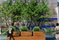 Wrocław. Są oferty firm, które chcą zbudować zielony przystanek