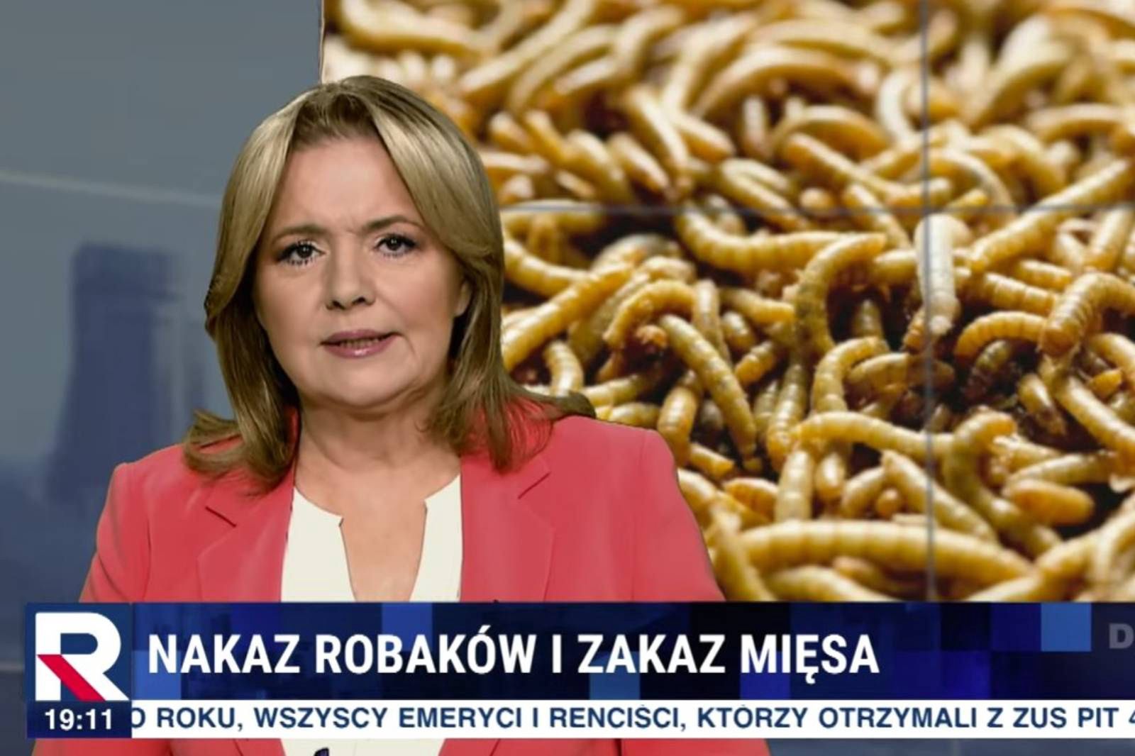 TV Republika straszy na wizji. Holecka znów się popisała