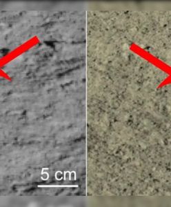 Szklane kule po ciemnej stronie Księżyca. Tajemnicze odkrycie chińskiego łazika