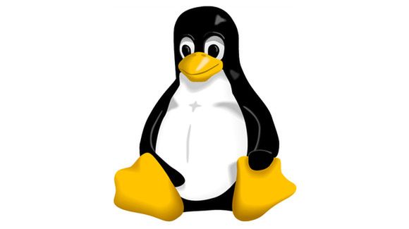 Linux na Androidzie