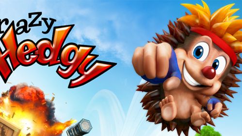 Crazy Hedgy – europejski następca Sonica? 1