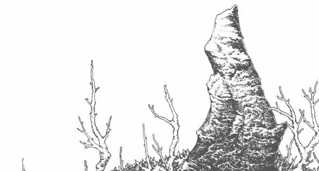 Jacek Sienkiewicz wydaje płytę "Hideland"