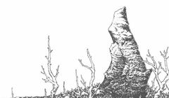 Jacek Sienkiewicz wydaje płytę "Hideland"