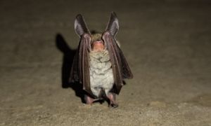 Mają 100 proc. pewności. Odkrycie w Parku Narodowym