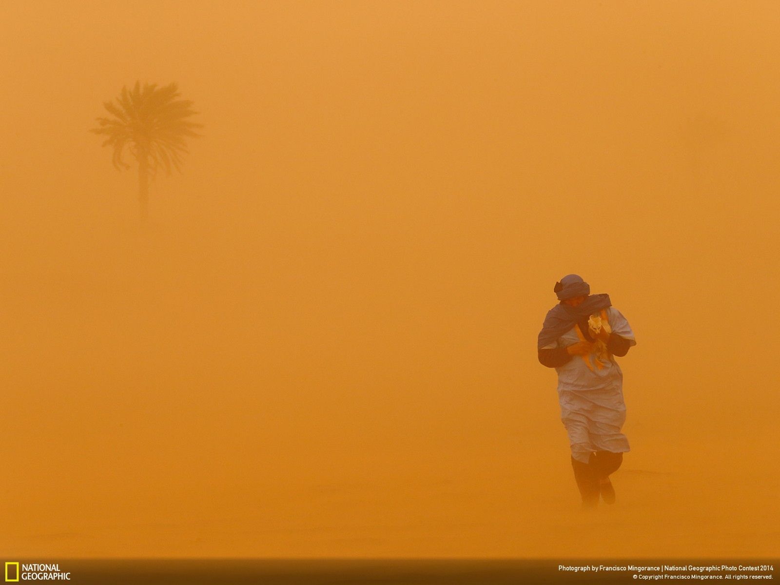 Najlepsze zgłoszenia z National Geographic Photo Contest 2014 18