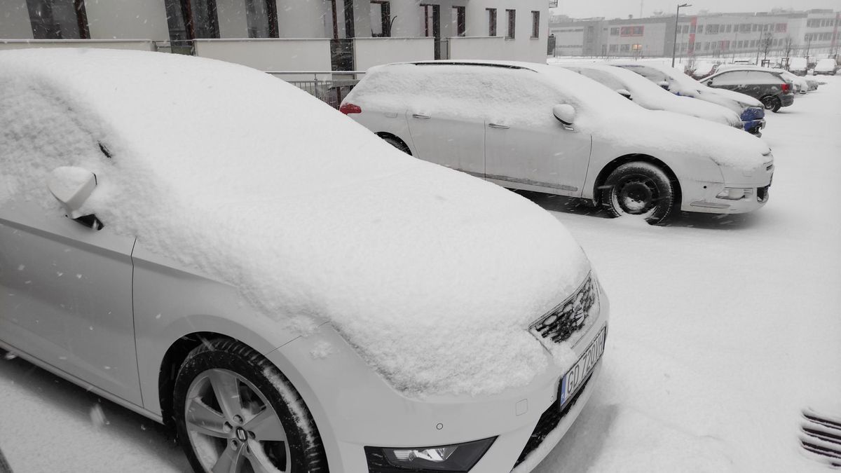 Pomijając kwestię mandatu, rozgrzewanie silnika na postoju tylko mu szkodzi.
