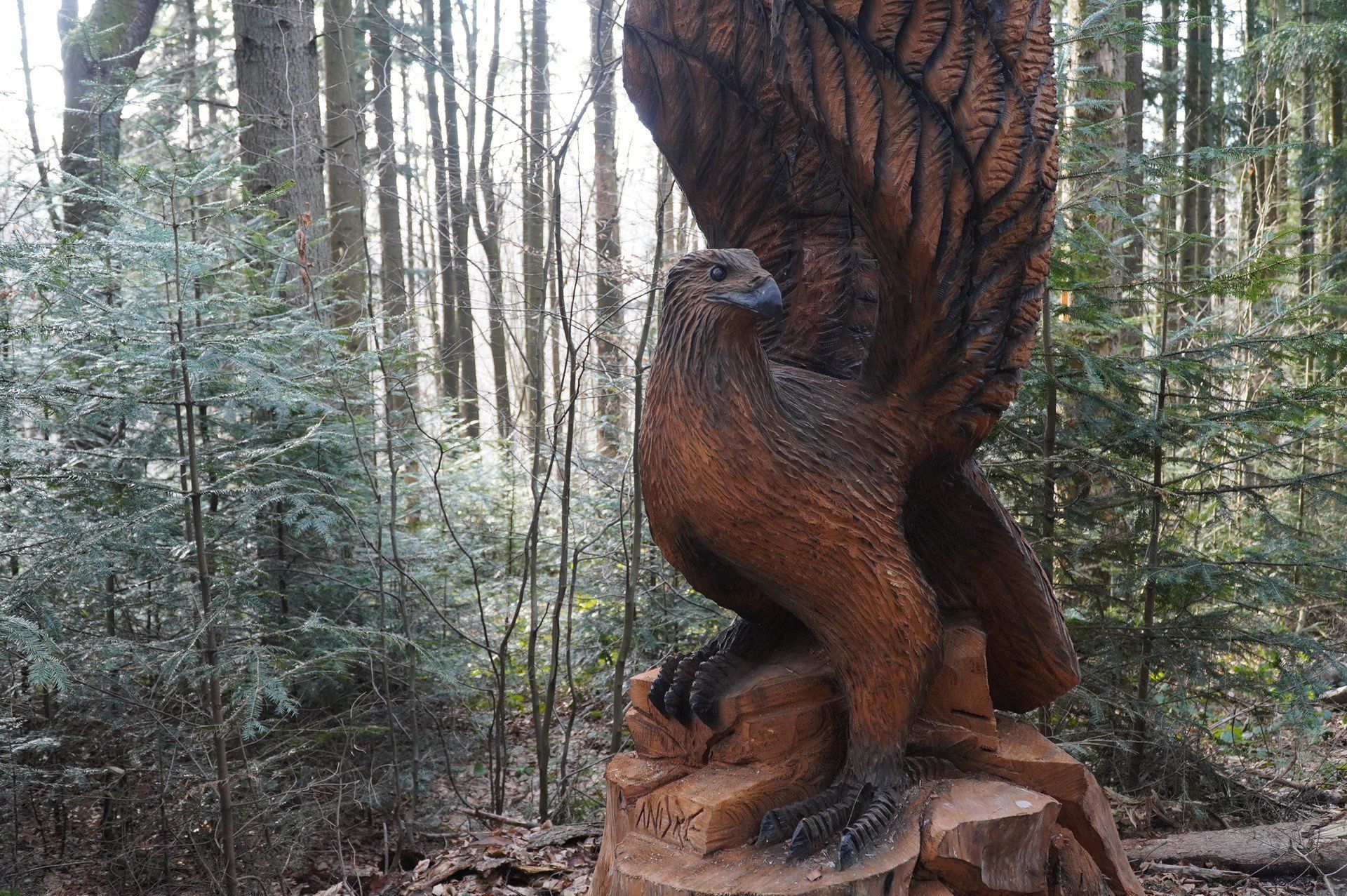 Ścieżka edukacyjna z Nowicy do Leszczyn