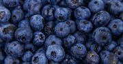 Kto nie może jeść borówek? Zobacz, czy jesteś na tej liście
