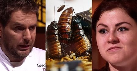 Modest Amaro ukarze przegranych w "Hell's Kitchen"! MUSZĄ ZJEŚĆ ŻYWE ROBAKI!